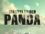 Wastelander-Panda-News.webp
