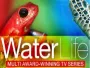 Water-Life-Newslogo.webp