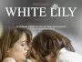 White-Lily-News.webp