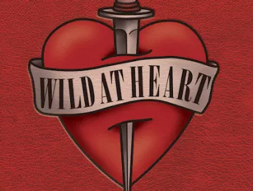Wild_at_Heart_News.webp