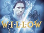 Willow-1988-News.jpg