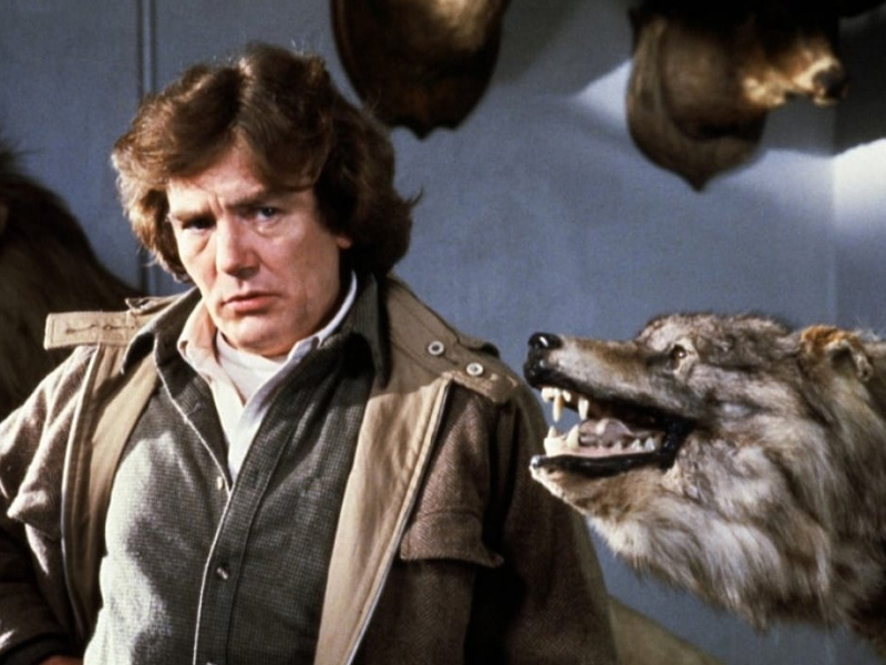 Wolfen_1981_01.jpg