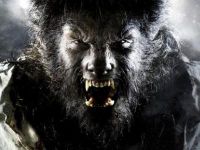 Wolfman-2010-News-01.webp