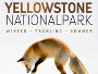 Yellowstone-Nationalpark-2018-News.jpg