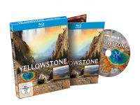 Yellowstone-News-01.jpg