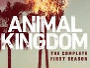animal-kingdom-newslogo.jpg