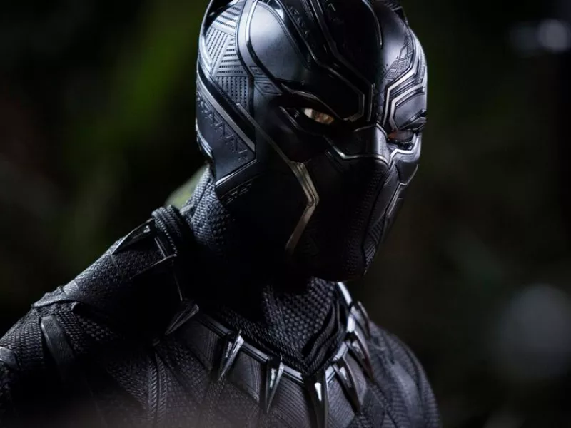 black_panther_04.webp