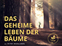 das_geheime_leben_der_baeume_news.webp