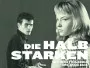 die-halbstarken-newslogo.webp