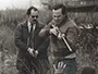 freies_land_news.webp