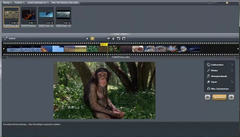 Ashampoo-Video-Styler-Video-abspielen-MKV.webp