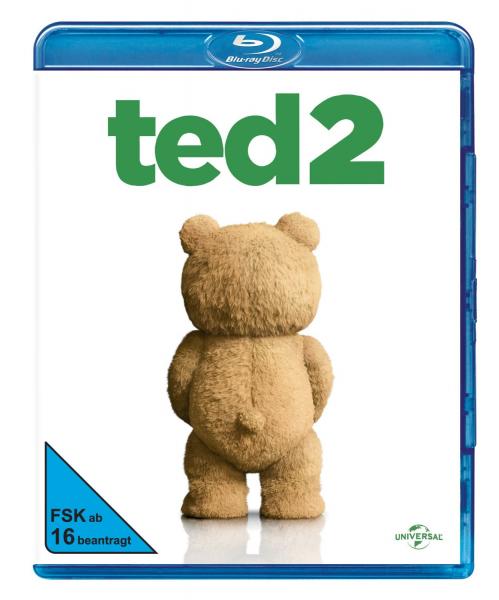 TED 2.webp