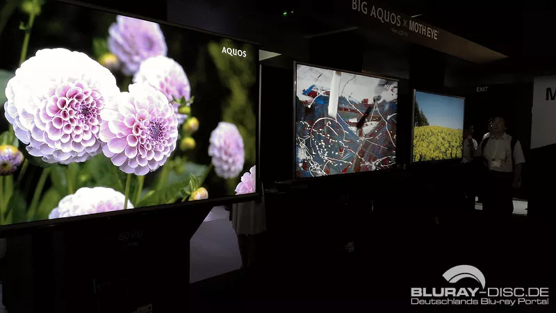 big__CEATEC-Japan-2012-Messebilder-11.webp