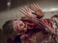 havenhurst-newsbild.webp