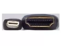 hdmi-typD.webp