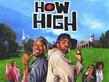 how_high_news.webp