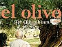 olivenbaum-Newslogo.jpg