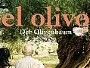 olivenbaum-Newslogo.webp