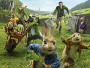 peter-hase-newslogo.webp peter-hase-newslogo.webp