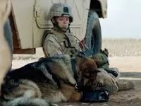 sergeant-rex-newsbild.webp