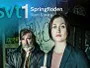 springlut-serie-newslogo.webp springlut-serie-newslogo.webp