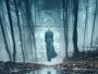 the-lodgers-newslogo.webp