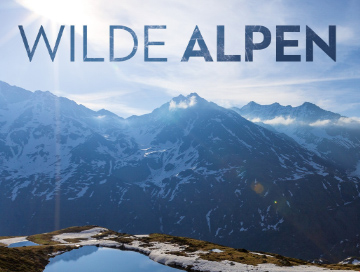 wilde_alpen_2020_news.webp