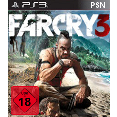 Far Cry 3 (PSN)