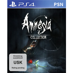 Amnesia: Collection (PSN)