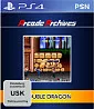 Arcade Archives Double Dragon (PSN)´