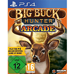 Bick Buck Hunter Arcade