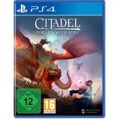 citadel_forged_with_fire_v1_ps4.webp