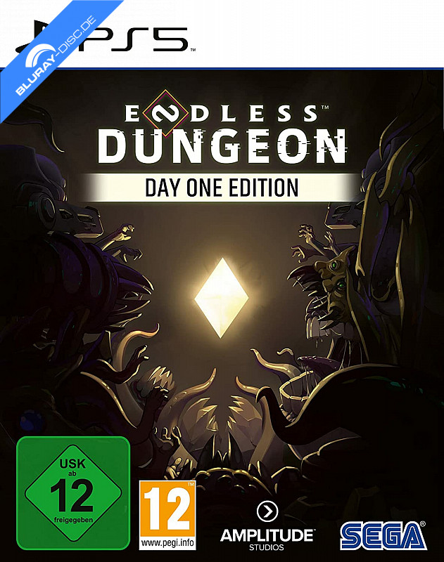 endless_dungeon_day_one_edition_v1_ps5.webp