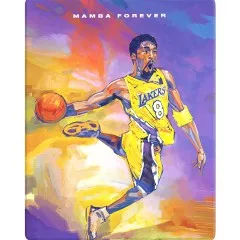 nba_2k21_steelbook_edition_v1_ps4.webp