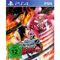 One Piece Burning Blood (PSN)