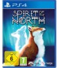spirit_of_the_north_v1_ps4_klein.webp