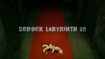 Schock Labyrinth 3D