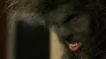 Wolfcop