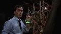 Bride of Re-Animator