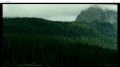 The Forest - Verlass nie den Weg (Blu-ray + UV Copy)