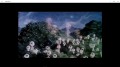 Prinzessin Mononoke (Studio Ghibli Collection)