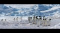 Die Reise der Pinguine 2 - Der Weg des Lebens 4K (4K UHD + Blu-ray)