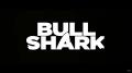 Bull Shark