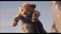 Der König der Löwen (2019) 3D (Blu-ray 3D + Blu-ray)