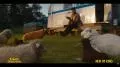 Glennkill: Ein Schafskrimi