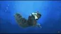 Ice Age 2 - Jetzt taut's (2. Neuauflage)