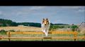 Lassie - Eine abenteuerliche Reise