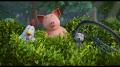 Mullewapp - Eine schöne Schweinerei