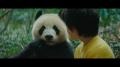 Moon, der Panda