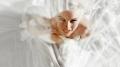 Love, Marilyn (OmU)